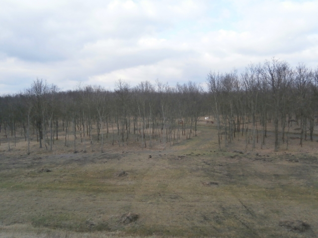 Helyszinek 11 20211028 1305456268 640x480 C